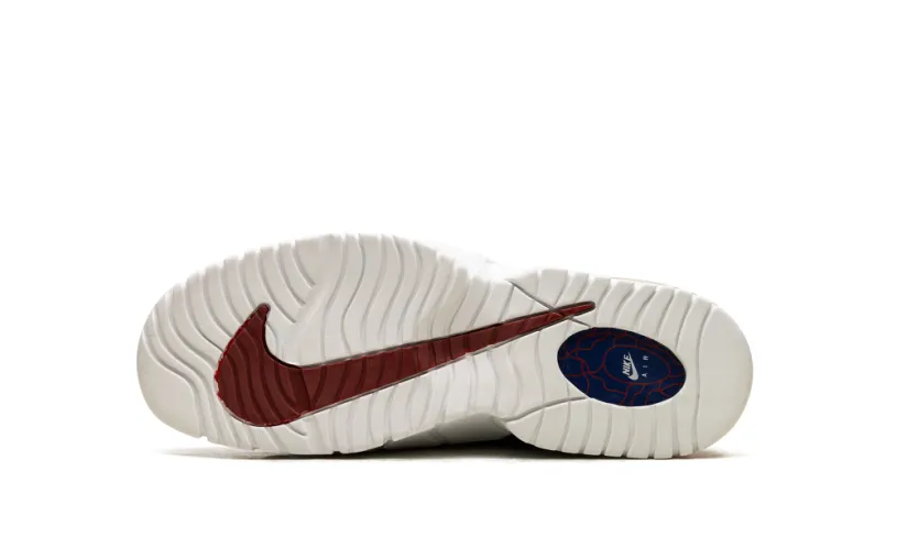 Nike Basketball Air Max Penny Le (Gs) 