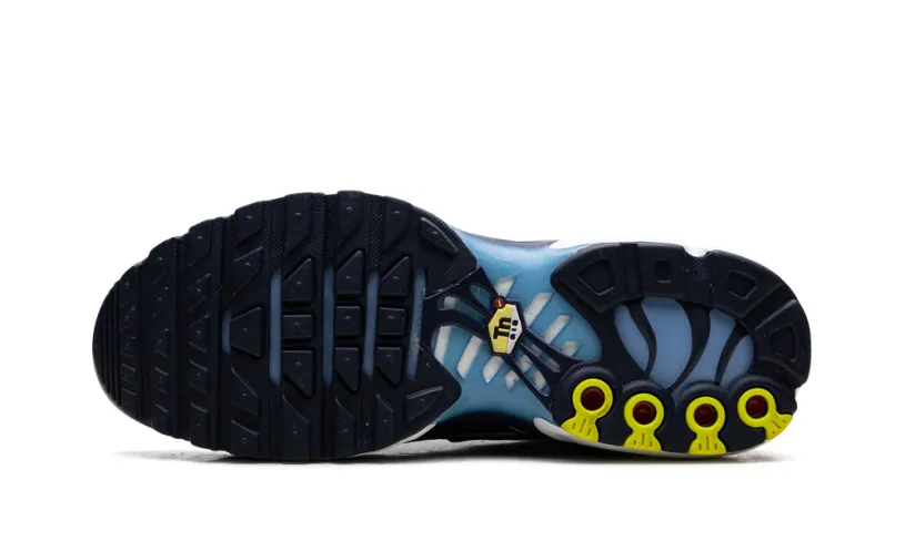 Nike Air Max Air Max Plus 