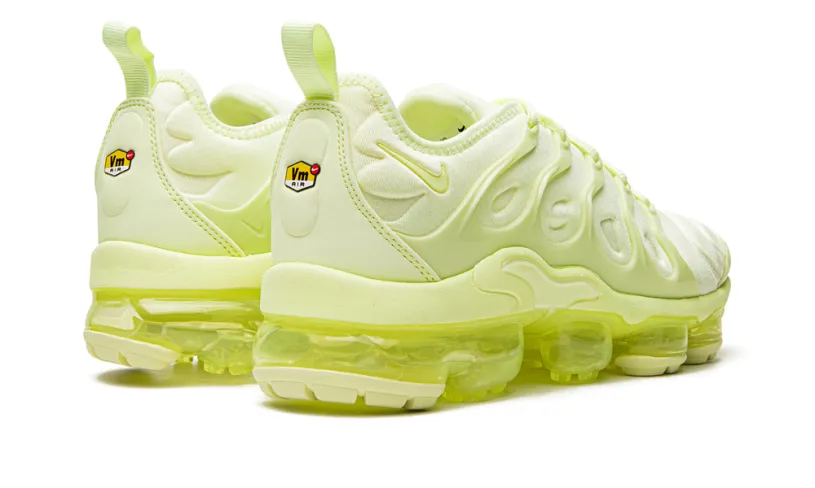 Nike Air Max AIR VAPORMAX PLUS WMNS 