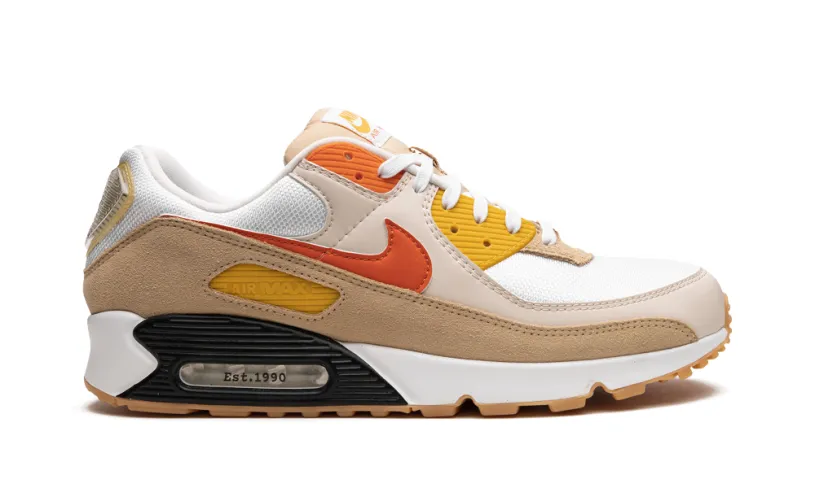 Nike Air Max Air Max 90 'Pressure' 