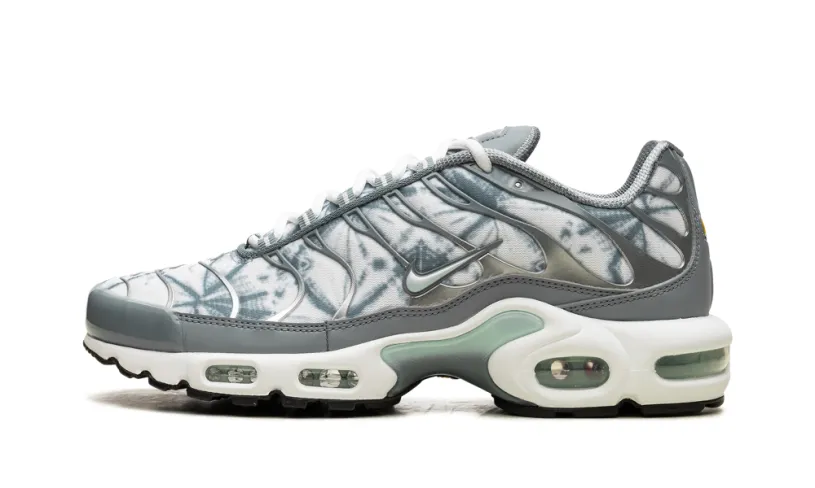 Nike Air Max Air Max Plus 'Waterway'