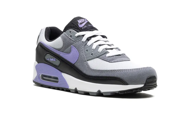 Nike Air Max Air Max 90 'Light Thistle' 