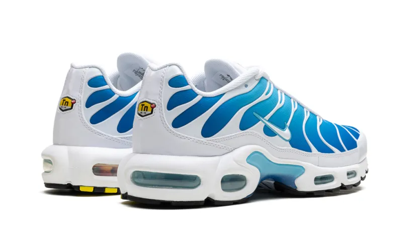 Nike Air Max Air Max Plus 'Blue Gaze' 