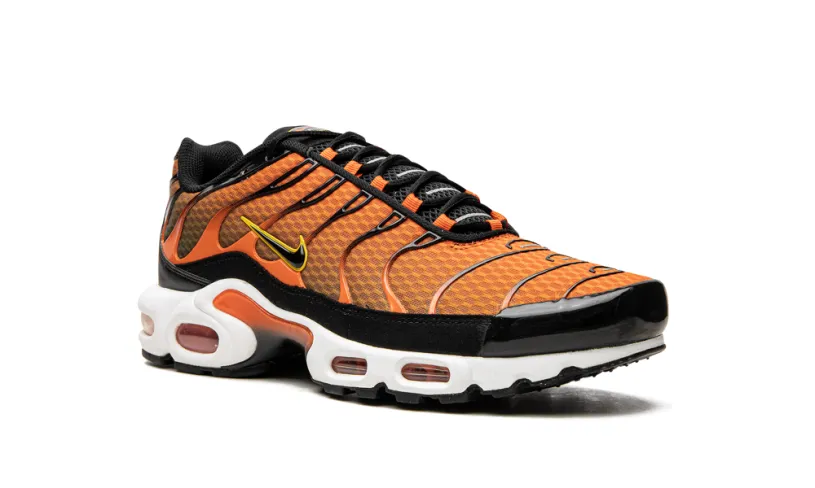 Nike Lifestyle Air Max Plus 