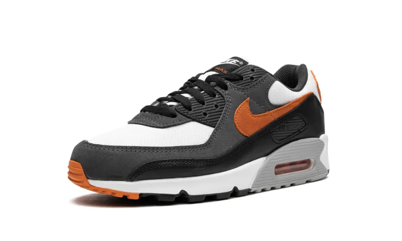 Nike Air Max Air Max 90 'Starfish' 