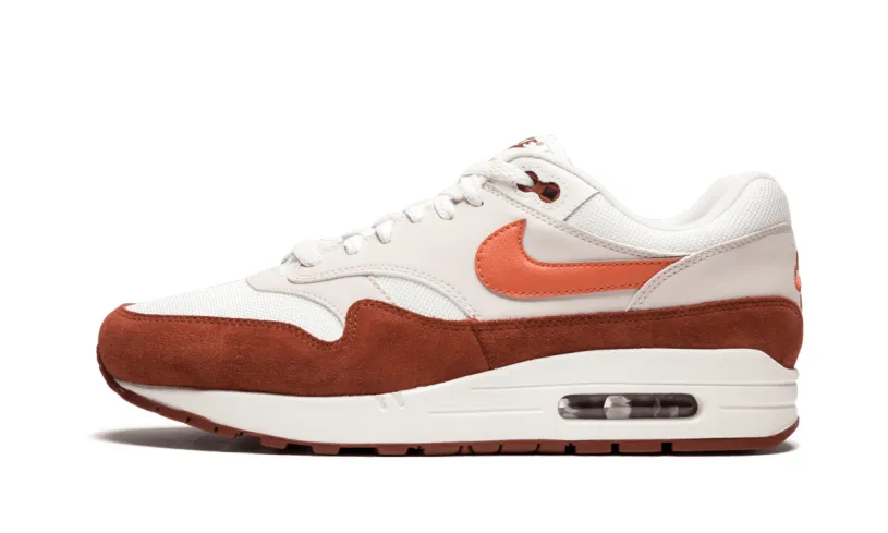 Nike Air Max Air Max 1 