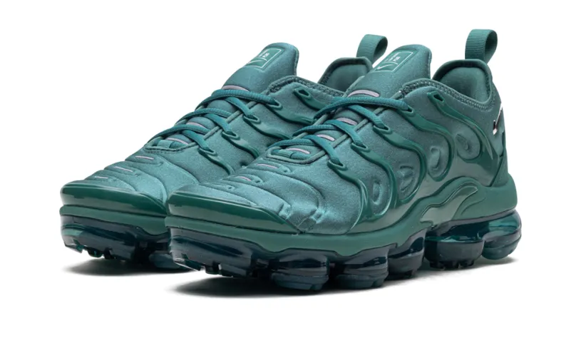Nike Air Max Air Max VaporMax Plus WMNS 'Bicoastal'
