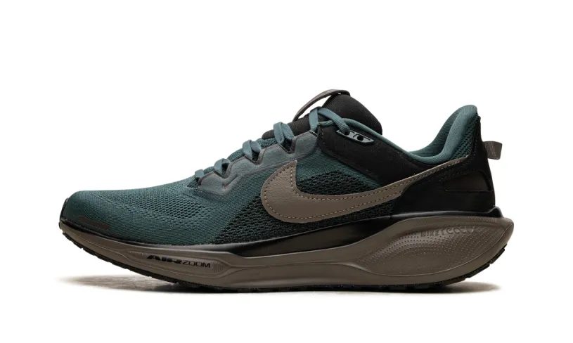 Nike Lifestyle Air Zoom Pegasus 41 SP 'Faded Spruce' 