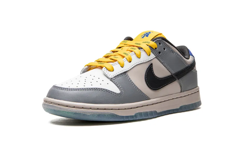 Nike Dunk Dunk Low NCAT 'North Carolina A&T' 
