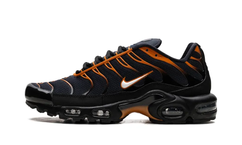 Nike Air Max Air Max Plus 'OBSIDIAN MONARCH'