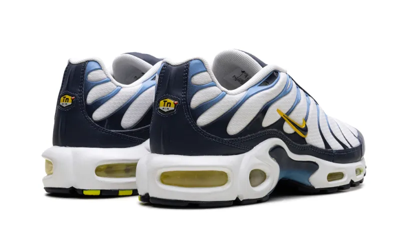 Nike Air Max Air Max Plus 