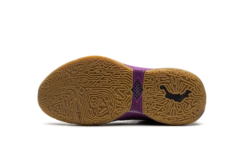 Nike Basketball LeBron 20 GS 'Young Heirs'