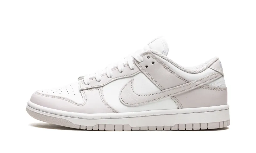 Nike Dunk DUNK LO MNS WMNS 'Venice'