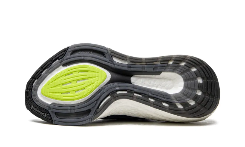 Adidas Ultraboost Ultraboost 21 