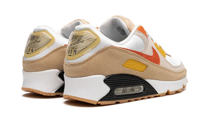 Nike Air Max Air Max 90 'Pressure' 