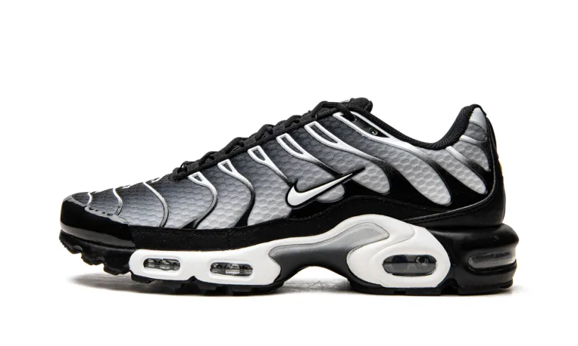 Nike Lifestyle Air Max Plus 'Black / Silver'