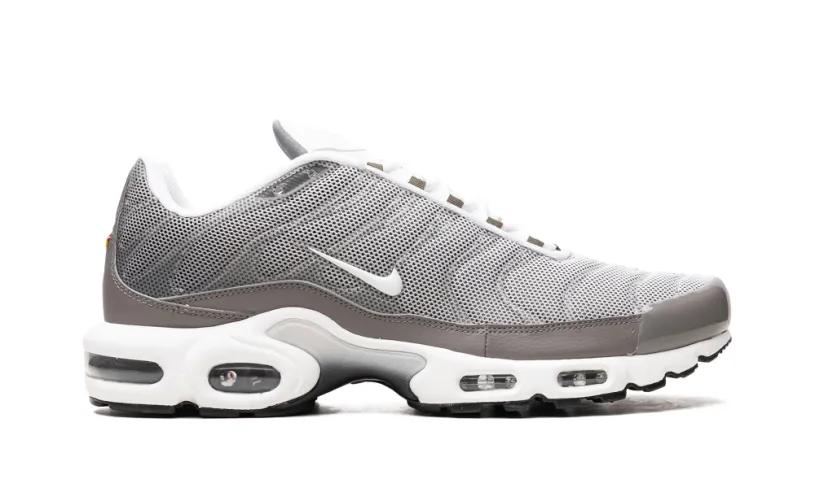 Nike Air Max Air Max Plus SE 'Flat Pewter' 