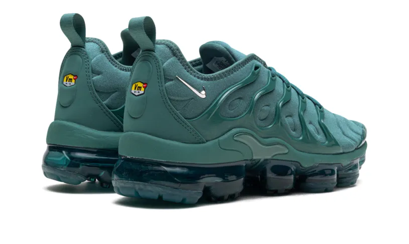 Nike Air Max Air Max VaporMax Plus WMNS 'Bicoastal'