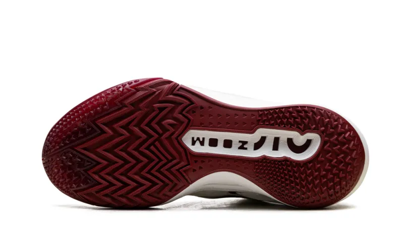 Nike Basketball ZOOM GT CUT 2 WMNS 'Sisterhood' 