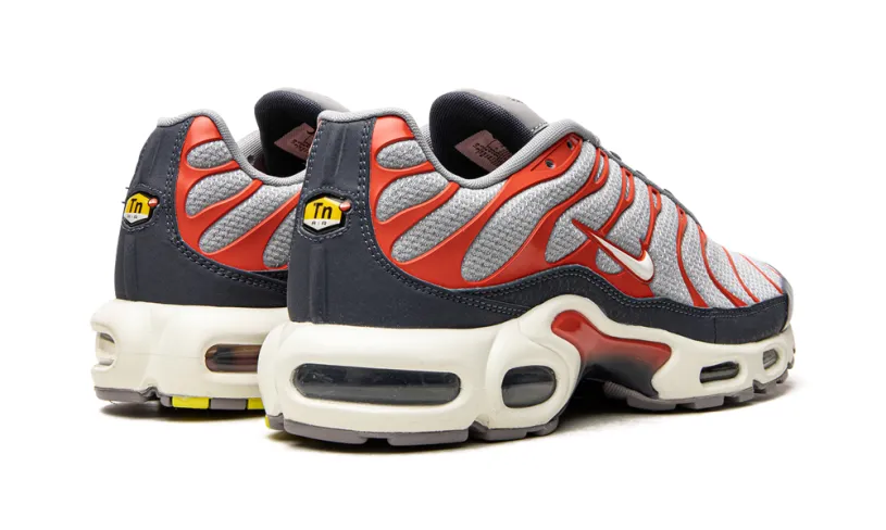 Nike Air Max Air Max Plus 'USA Grey' 