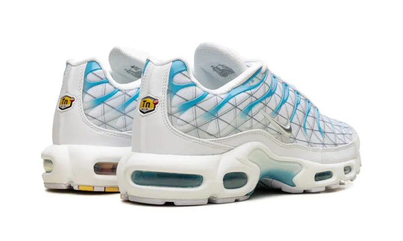 Nike Air Max Air Max Plus 'Marseille' 
