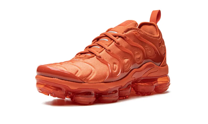Nike Air Max AIR VAPORMAX PLUS WMNS 