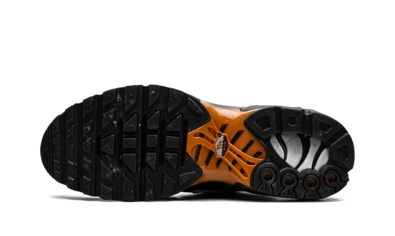 Nike Air Max Air Max Plus 'OBSIDIAN MONARCH' 