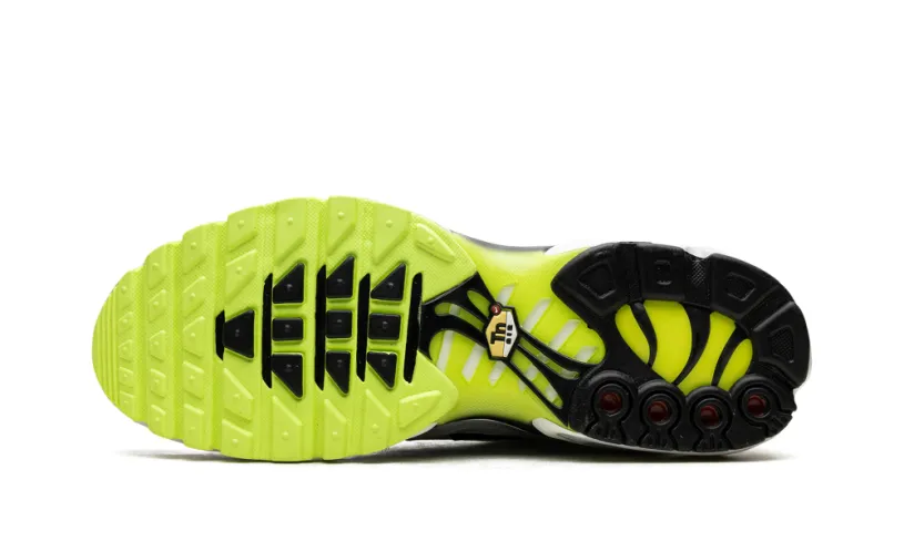 Nike Air Max Air Max Plus 'Platinum Grey Reflective Logos' 