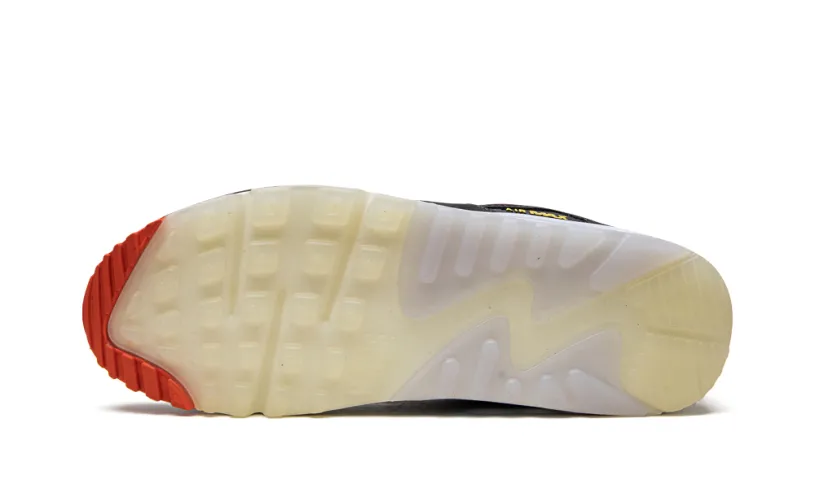 Nike Air Max Air Max 90 'Set To Rise' 