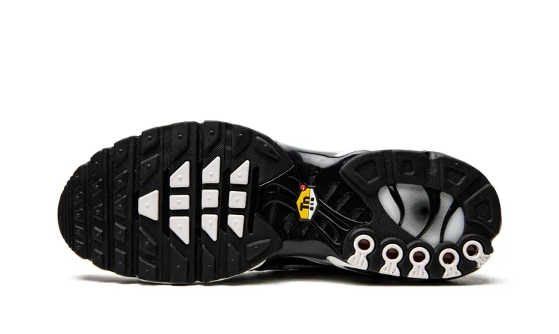 Nike Lifestyle Air Max Plus 'Black   Silver' 