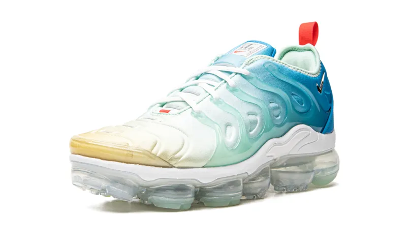 Nike Air Max AIR VAPORMAX PLUS MNS WMNS 'Since 1972' 