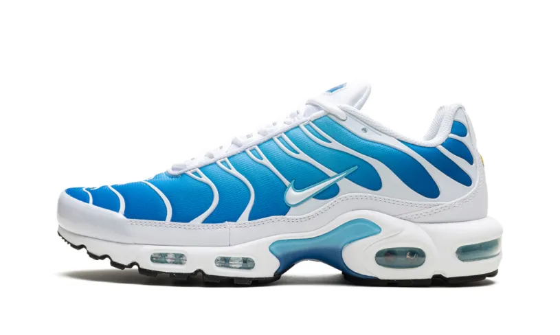 Nike Air Max Air Max Plus 'Blue Gaze' 