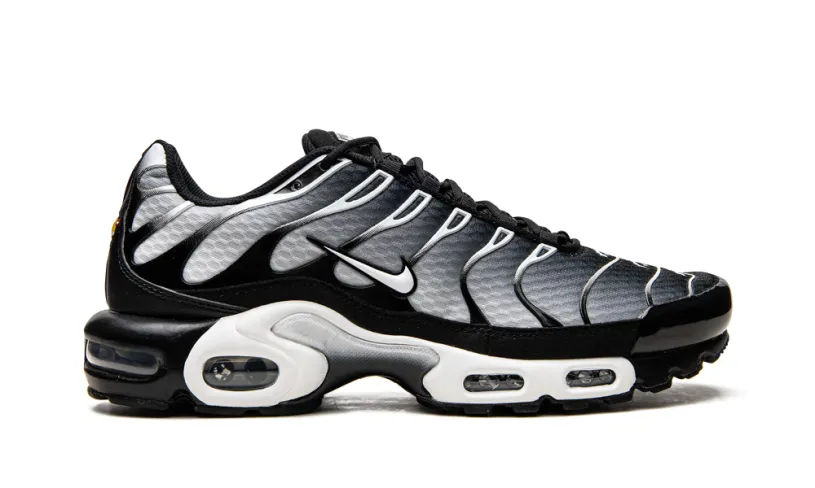 Nike Lifestyle Air Max Plus 'Black   Silver' 