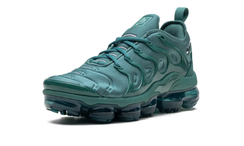 Nike Air Max Air Max VaporMax Plus WMNS 'Bicoastal'