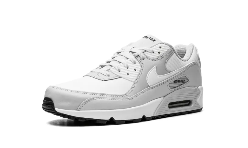 Nike Air Max Air Max 90 'Gore-Tex'