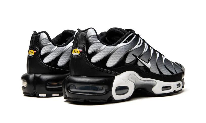 Nike Lifestyle Air Max Plus 'Black   Silver' 