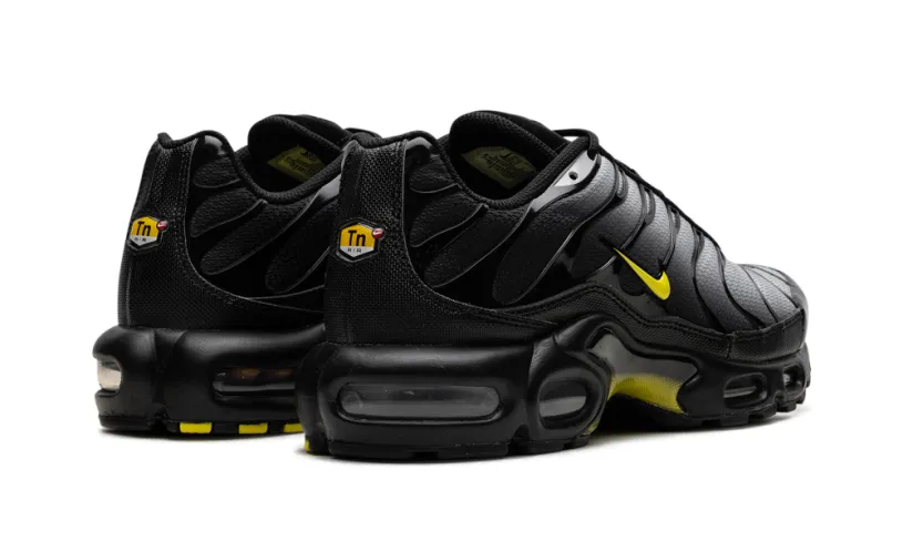 Nike Air Max Air Max Plus 'Wolf Grey Opti Yellow' 