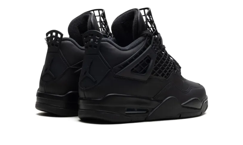 Air Jordan 4 Air Jordan 4 WMNS 'Net Black' 