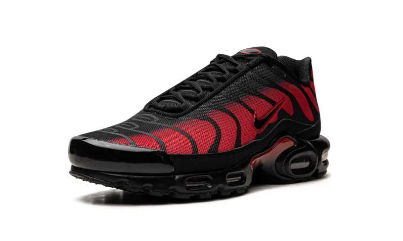 Nike Lifestyle Air Max Plus 'Bred Reflective' 