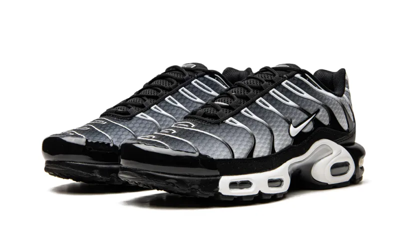 Nike Lifestyle Air Max Plus 'Black / Silver'