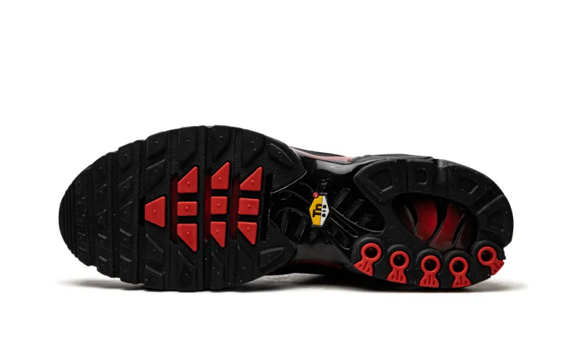 Nike Lifestyle Air Max Plus 'Bred Reflective'