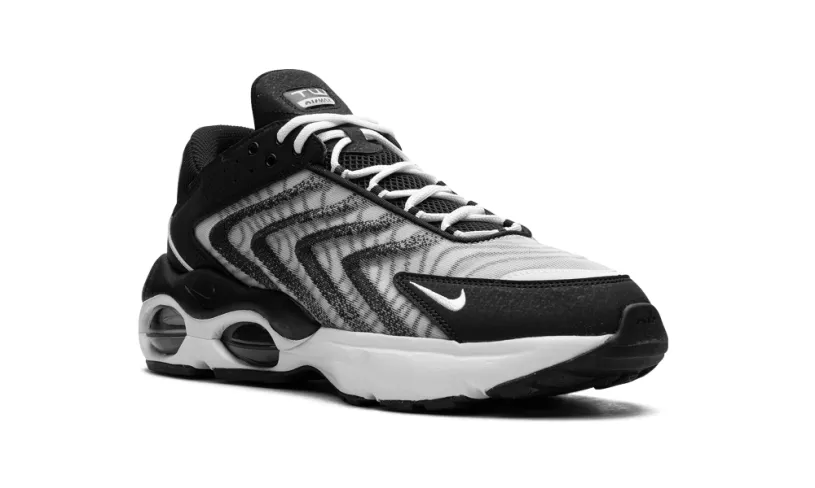 Nike Air Max Air Max TW 'Black White' 