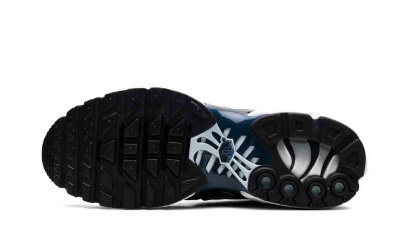 Nike Lifestyle Air Max Plus 'Pure Platinum Black' 