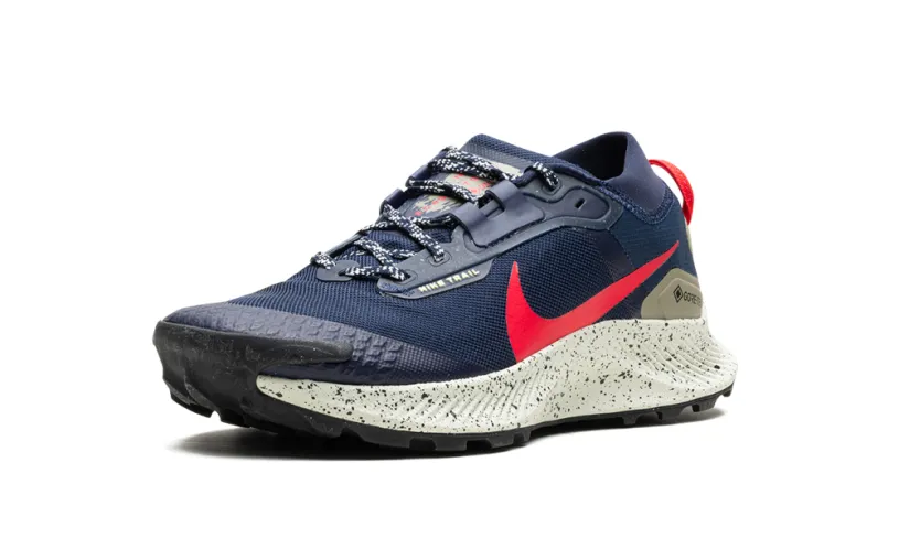 Nike Lifestyle Pegasus Trail 3 GTX 'GORE-TEX' 
