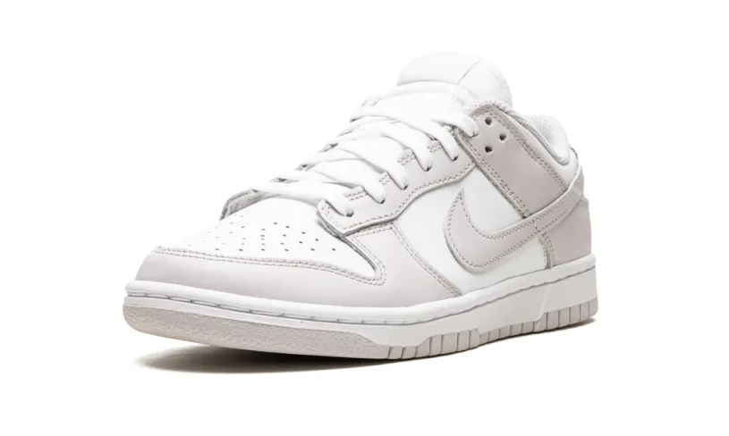 Nike Dunk DUNK LO MNS WMNS 'Venice' 
