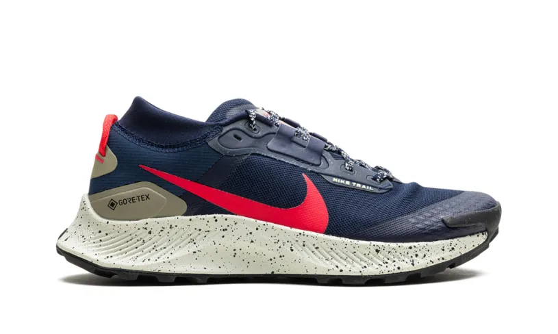 Nike Lifestyle Pegasus Trail 3 GTX 'GORE-TEX' 