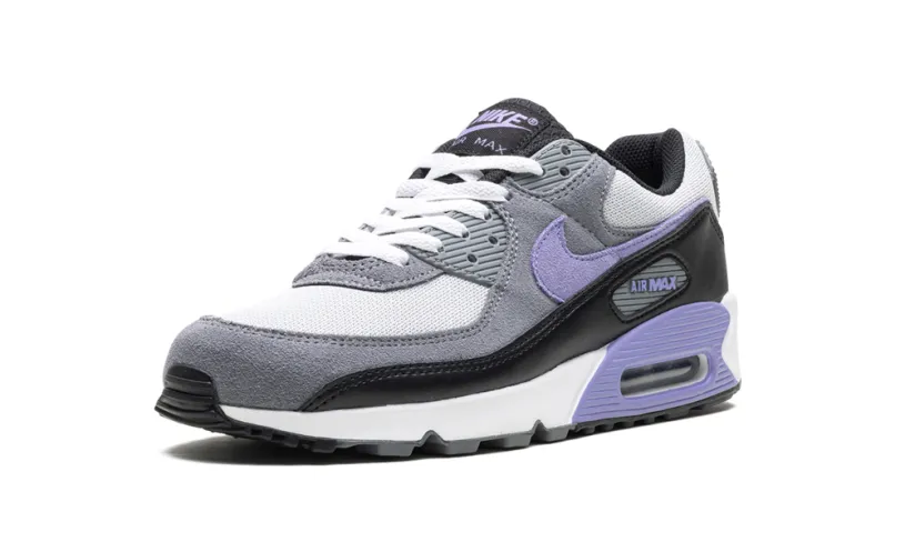 Nike Air Max Air Max 90 'Light Thistle' 