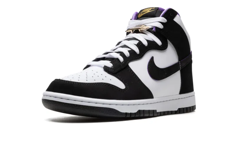Nike Dunk Dunk High 'World Champ'