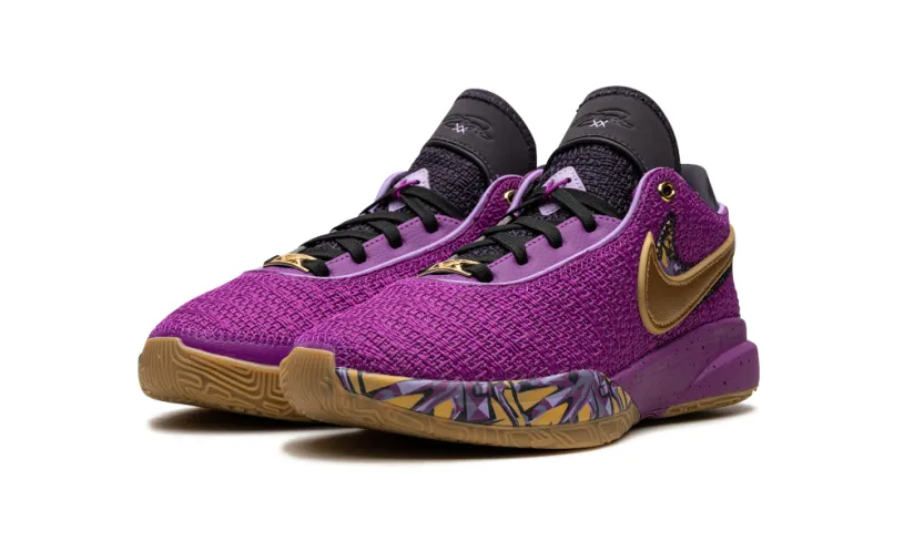 Nike Basketball LeBron 20 GS 'Young Heirs' 