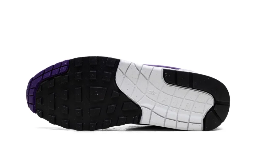 Nike Lifestyle Air Max 1 SC 'Field Purple' 